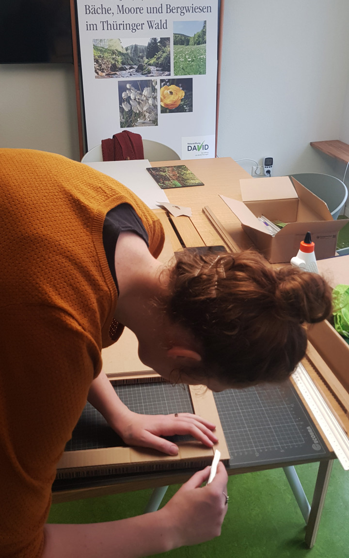 Nele bearbeitet Wabenpappe mit einem Cutter.