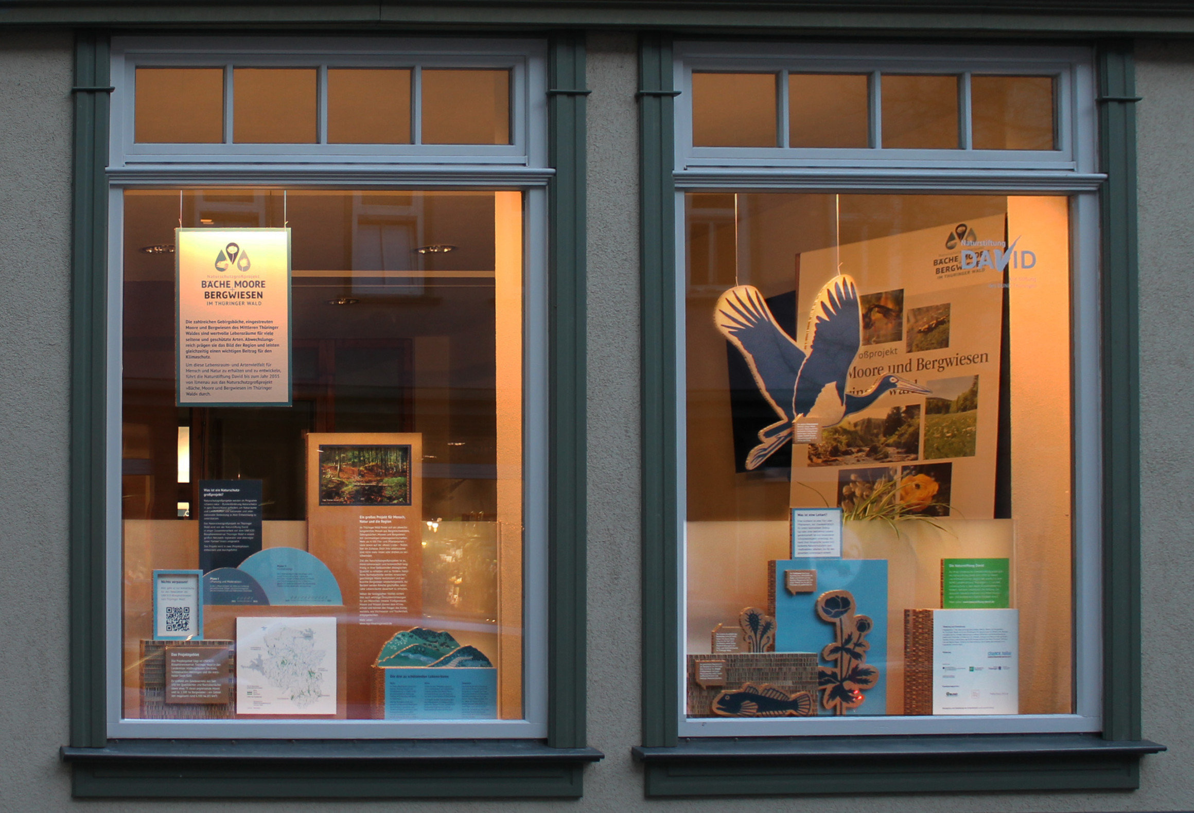Schaufenster am Abend mit beleuchteter Ausstellung.