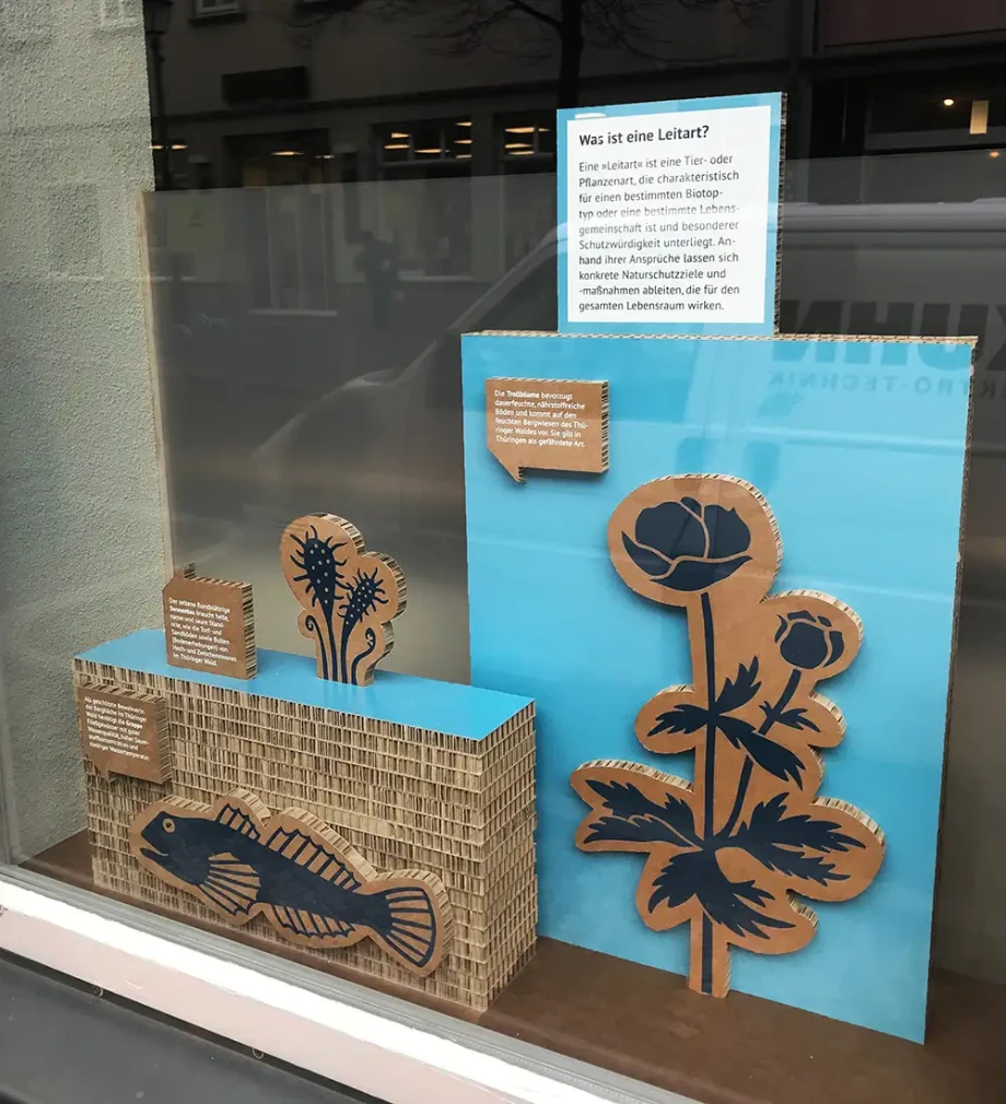 Details der Ausstellung.