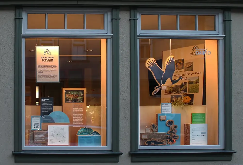 Schaufenster am Abend mit beleuchteter Ausstellung.