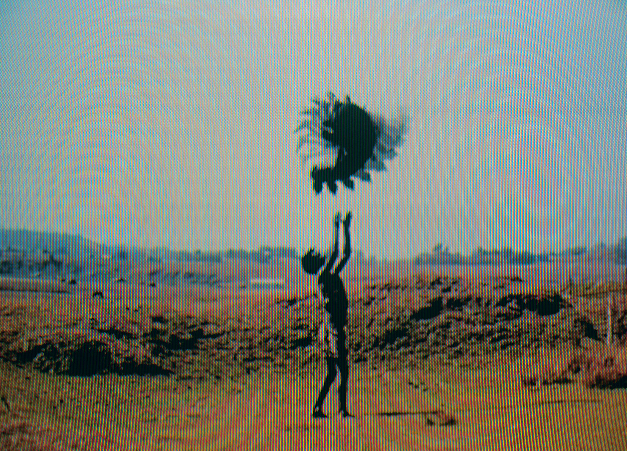Fotomontage aus Filmstils. Die übereinandergelegten Einzelbilder zeigen zwei Akrobaten vor einer Landschaft.