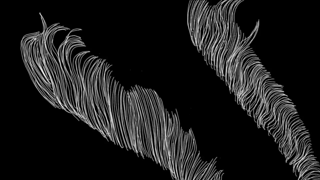 Standbild aus dem Musikvideo: abstrakte Formen aus weißen Linien, auf schwarzem Hintergrund.