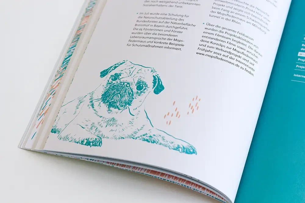 Ausschnitt des Jahresberichts. Im Fokus ist ein illustrierter Mops.