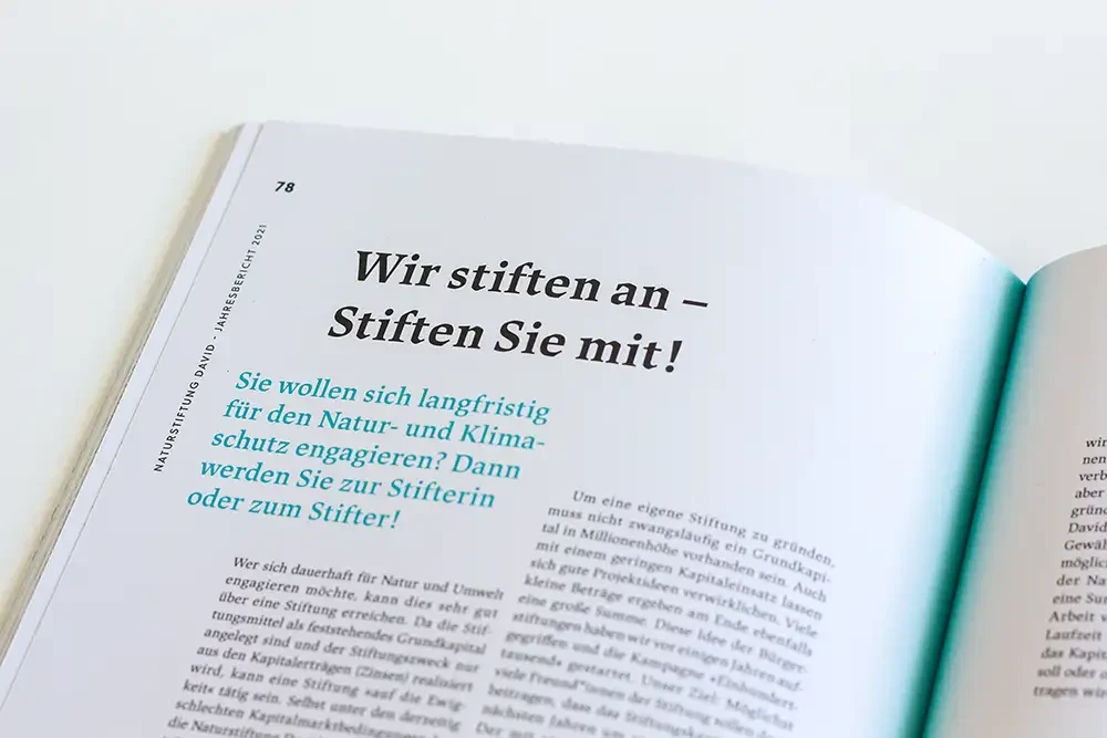 Detailausschnitt des Jahresberichts. Gestaltung der Überschrift, der Einleitung und der Fließtexts.