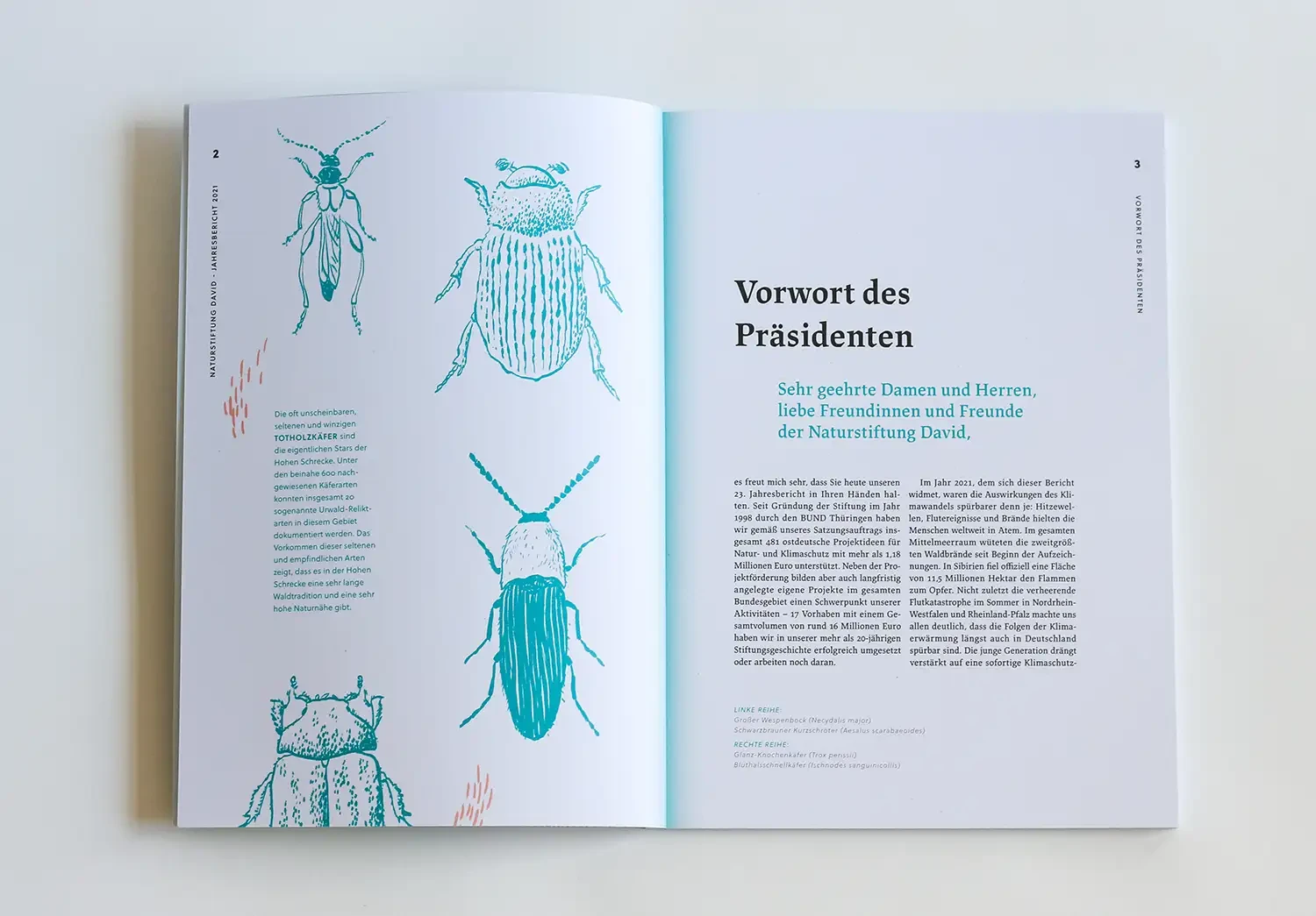Aufgeschlagener Jahresbericht. Auf der linken Seite eine Editorial Illustrationen von vier verschiedenen Totholzkäfer. Auf der rechten Seite das Vorwort des Präsidenten im Layout.