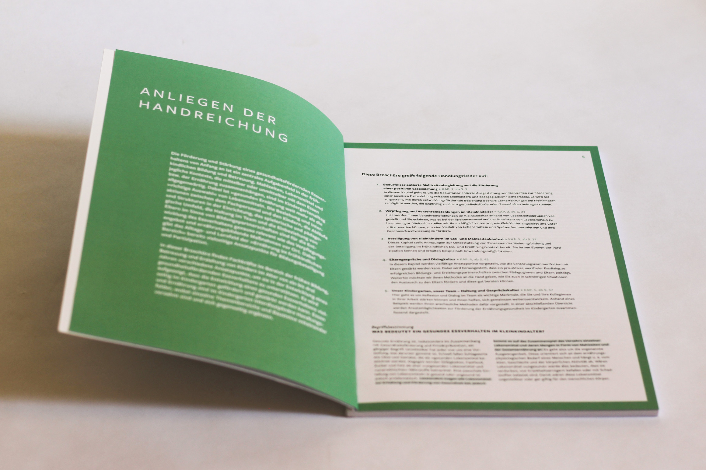Aufgeschlagene Broschüre mit der Einleitung.
