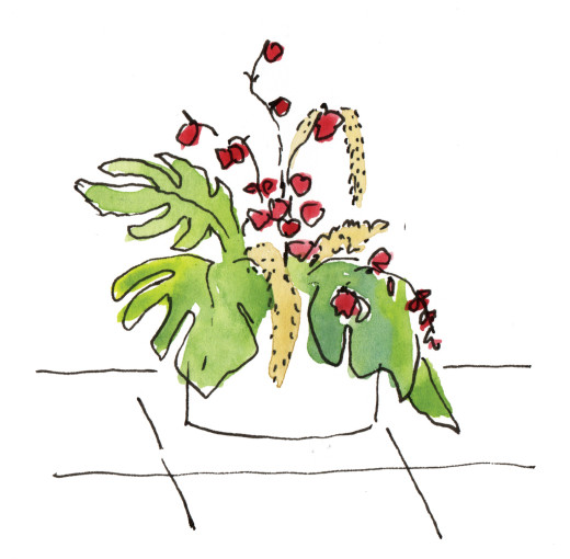Zeichnung einer blühenden Pflanze in einem Blumenkübel.