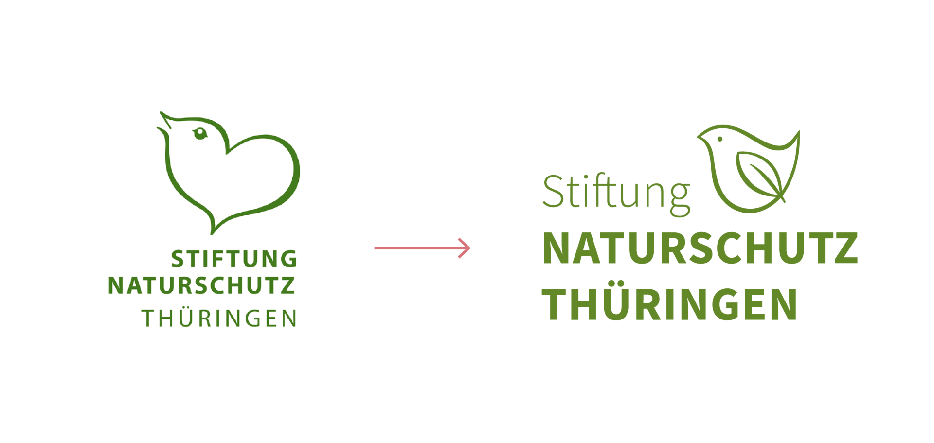 Links die alte, rechts die neue Wort-Bild-Marke der Stiftung Naturschutz Thüringen. Beide haben einen Vogel als Bildmarke.